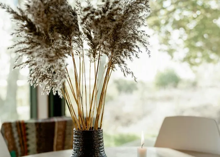 Holiday home Feel The Nature Inside In Architect-designed Gem *